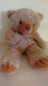 Toni, el peluche viajero.