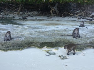 A4BE9FEE-C3C1-4C08-B345-8368E6BC5678