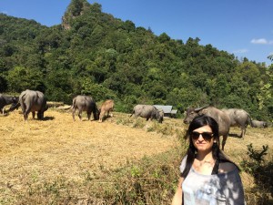 Olé Olé, y Olé....