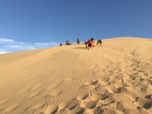 6FE8436C-A31E-4758-8B46-B8426B8410E9