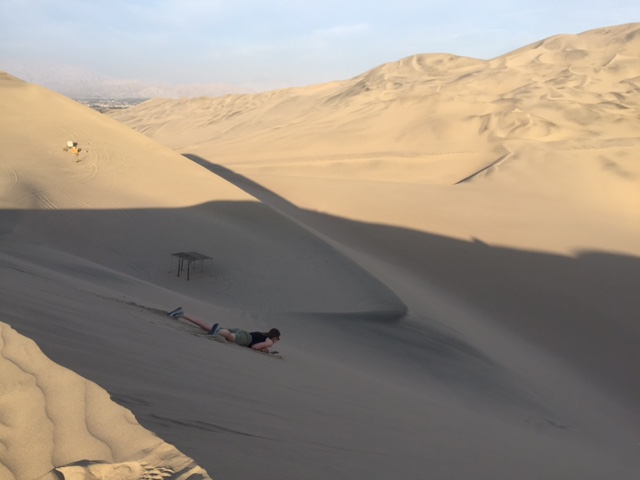 EC943559-7A51-4C8C-820F-F715E897EF3E