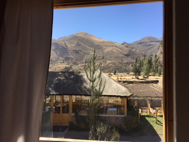 41A8D4CD-4069-47CB-8134-38DBCACF93C1