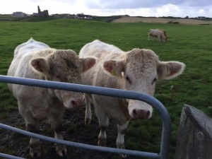 17D6AEB6-1C39-47A0-92AE-FAD59EDFBD05