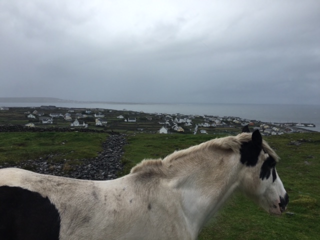 Imagenes únicas de lnis Oirr