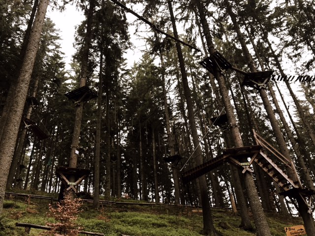 Action Forest y sistema de plataformas para subir hasta la copa de los árboles