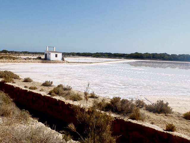 Salinas de camino a Ses Illetes