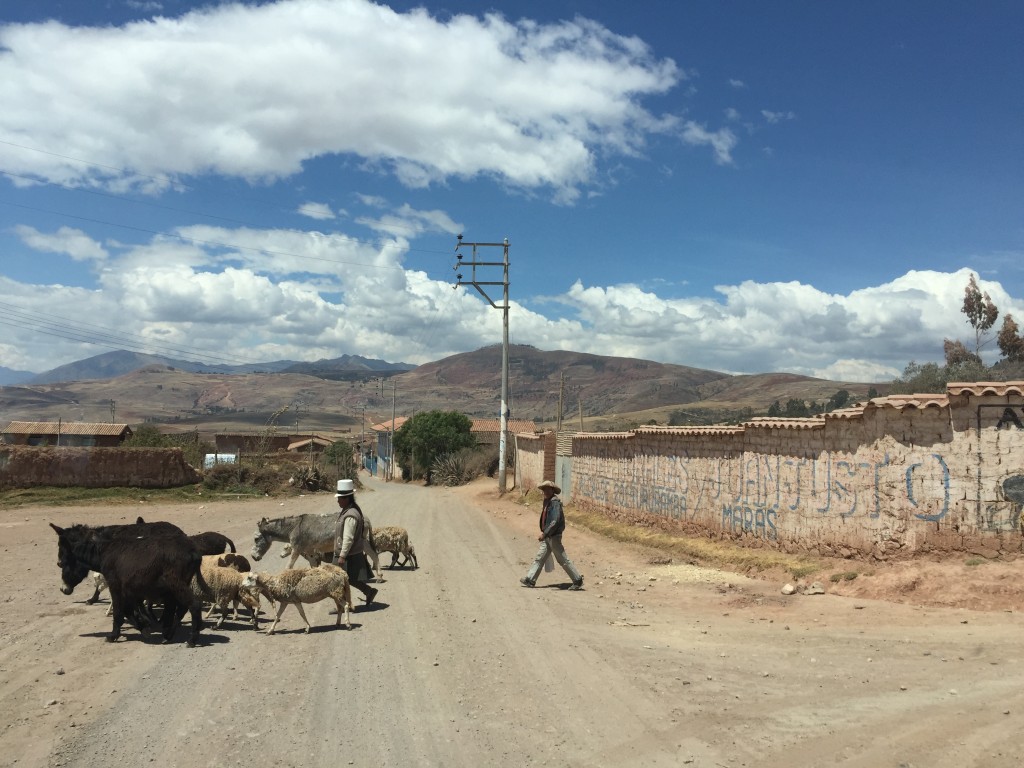 Al estar al lado del conductor pudimos captar imágenes como esta