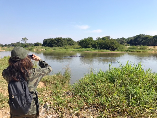 En ese estanque además de hipopótamos había un cocodrilo. Eso es Bravura, y no lo de Jesulín de Ubrique