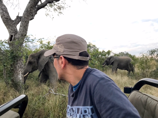 Jordi con los elefantes detrás