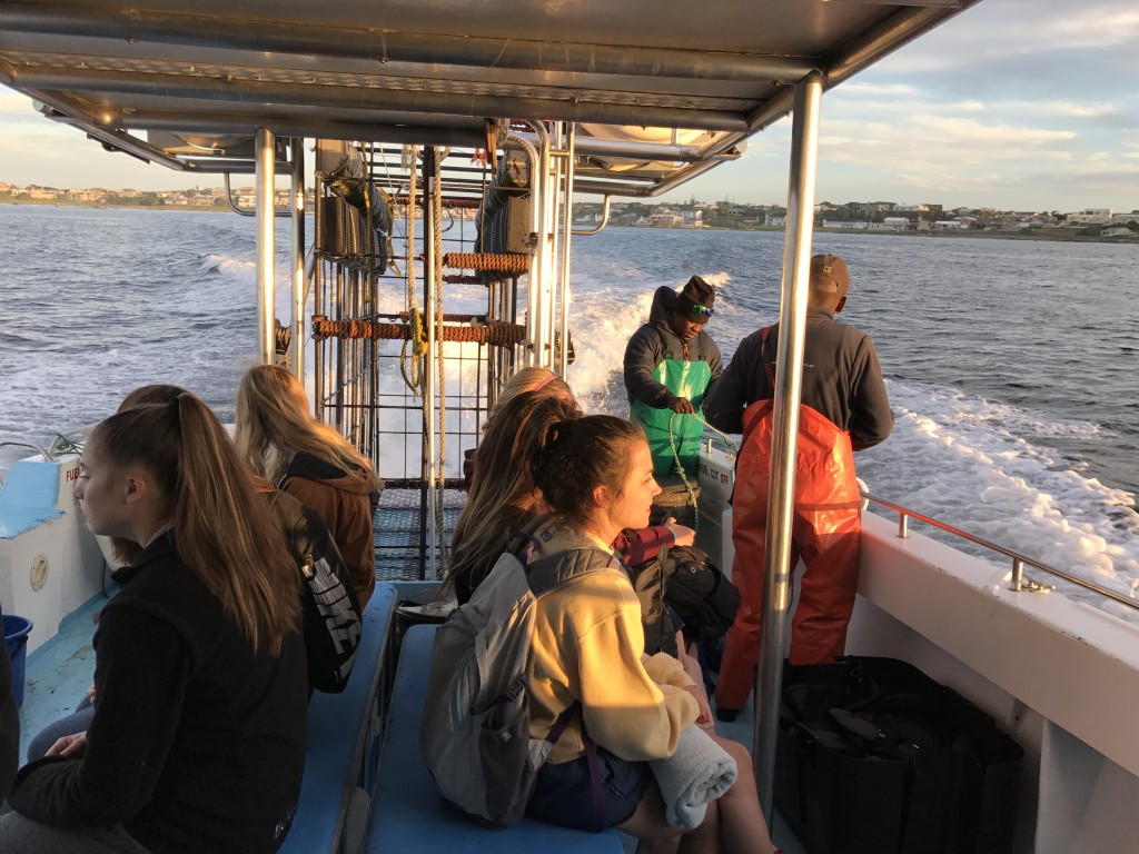 Esto no es un concierto de Justin Bieber, sino un grupo de valientes teenagers a la busca del tiburón