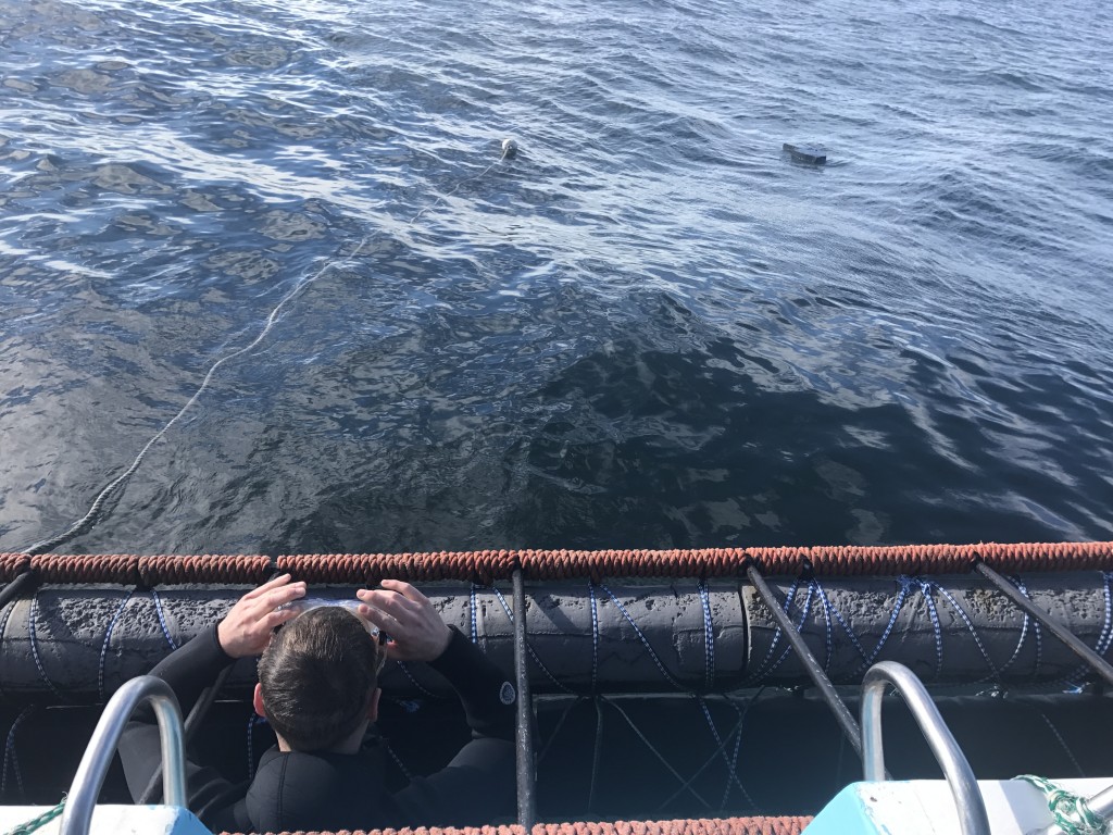 Uno que se metió a ver que tal