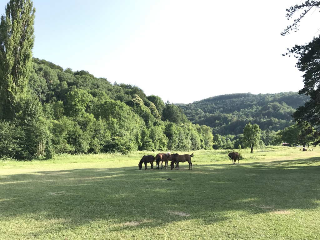 Alrededores de Sokolski