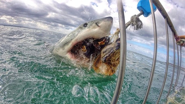 Esta foto fue tomada por una turista en Mossel Bay