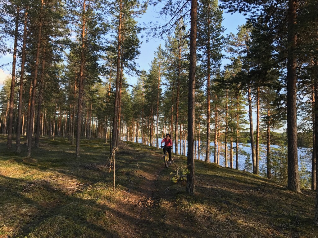 Ruta en bici por Svansele