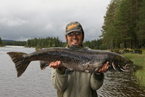 Salmón pescado en Suecia por Miguel Sanz