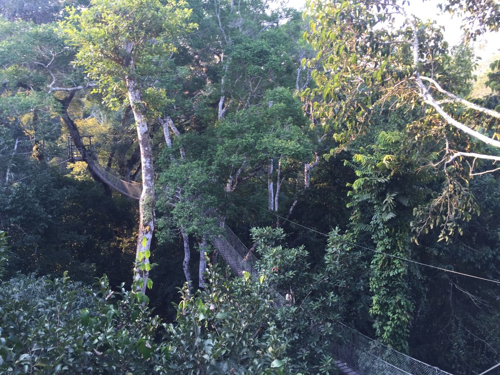 La experiencia pone a prueba el vértigo