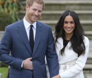 Míralos que monos ellos! Foto: eldebate.com