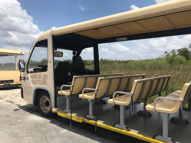 Trams que salen de Shark Valley Visitor Center