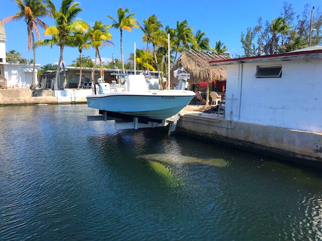 Esas sombras bajo el bote es una mama manatía con su cría