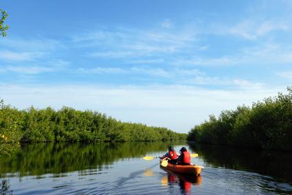 Jenny Eco Everglades