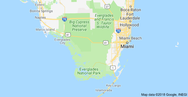 Imagen de las carreteras Everglades. Google Maps