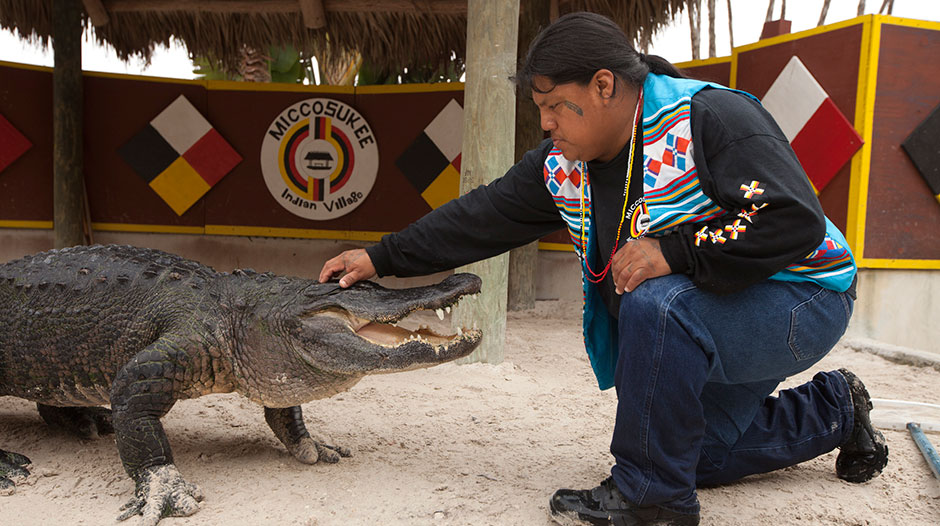 Foto de espectáculo de Alligator http://espanol.miamiandbeaches.com